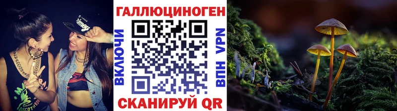 Псилоцибиновые грибы MAGIC MUSHROOMS  Вышний Волочёк 