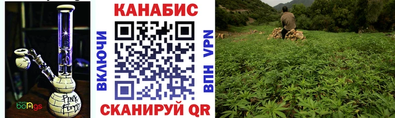 Бошки Шишки SATIVA & INDICA где продают МЕГА ссылка Вышний Волочёк